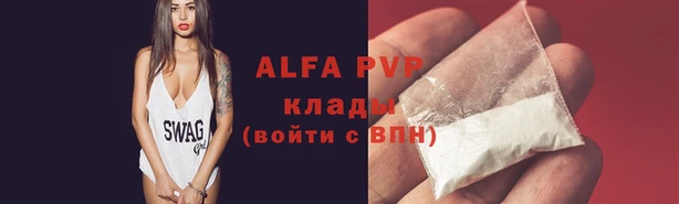 прущие грибы Белоозёрский