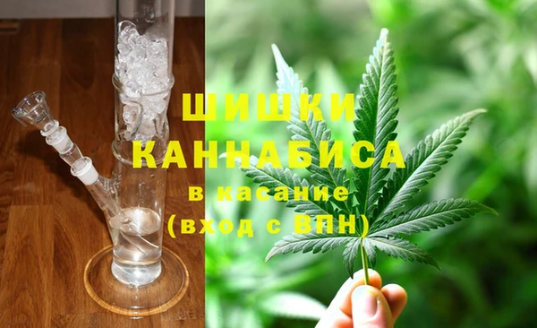 прущие грибы Белоозёрский