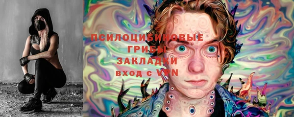 прущие грибы Белоозёрский