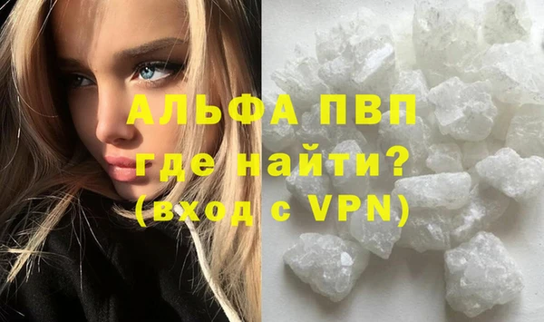 прущие грибы Белоозёрский