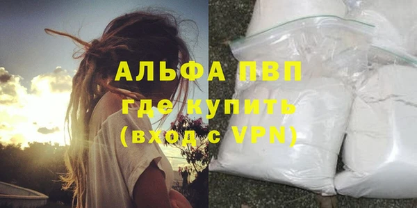 прущие грибы Белоозёрский