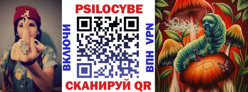 где купить наркоту  Волжск  Галлюциногенные грибы прущие грибы 